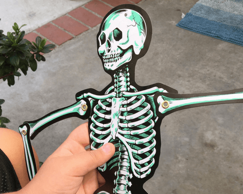 Using a Paper Skeleton