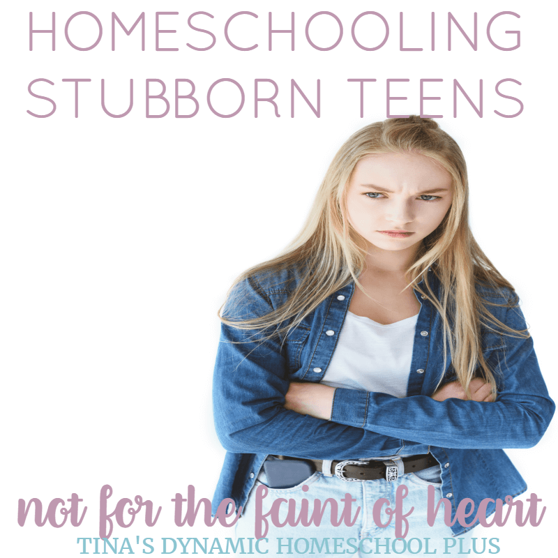 I've learned that although it's easier to blame my teens for everything that went wrong, I too had to learn how to parent differently. As each of my sons reached the teen years, I've had to become more resourceful and creative in how I homeschool them. Click here to grab these SUPER helpful tips!