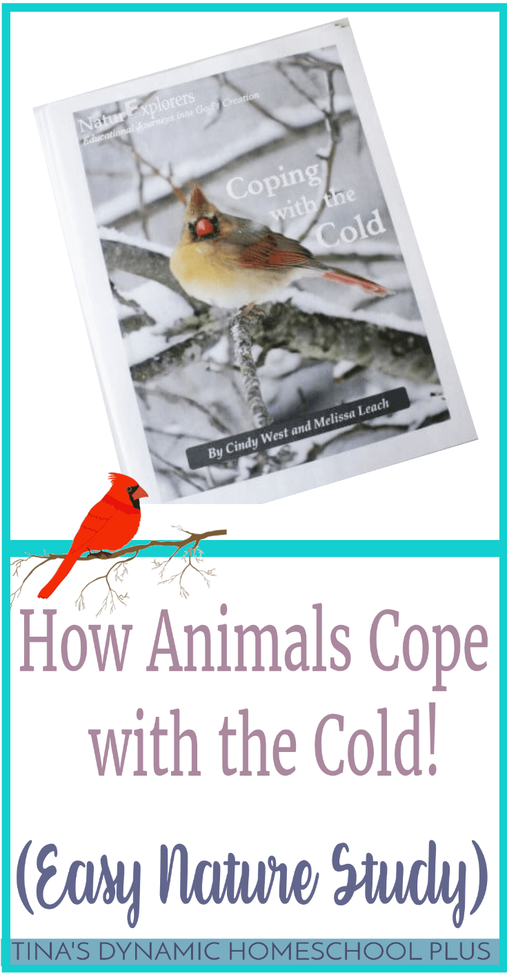 Winter is a wonderful season for learning about animals with kids. Animals go through so many different behavioral changes to adapt to cold temperatures and, when you can study those changes in your own backyard, it really makes scientific concepts come alive. Click here to grab this easy nature study!