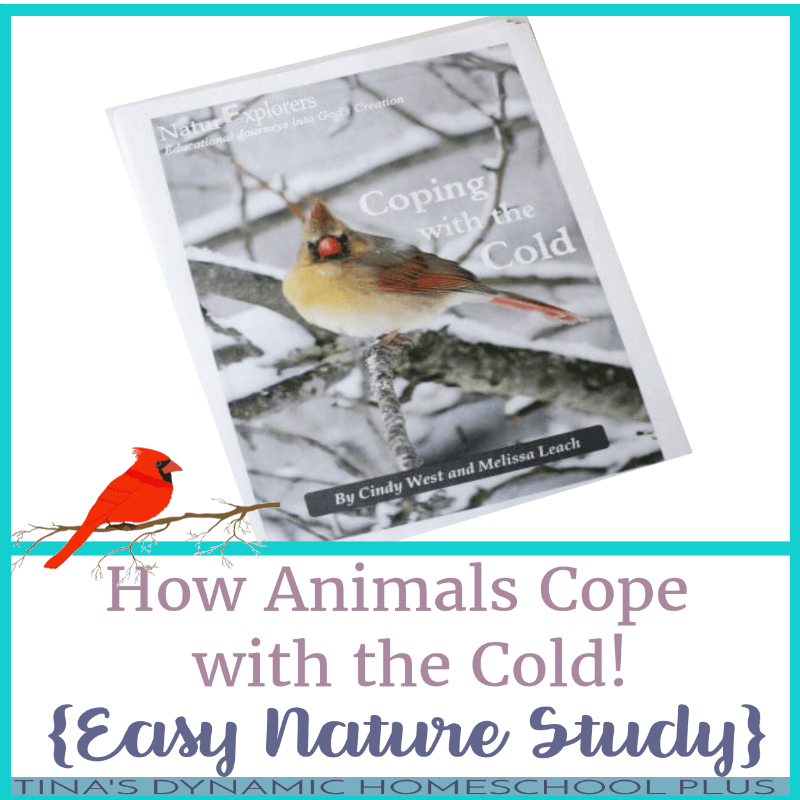 Winter is a wonderful season for learning about animals with kids. Animals go through so many different behavioral changes to adapt to cold temperatures and, when you can study those changes in your own backyard, it really makes scientific concepts come alive. Click here to grab this easy nature study!