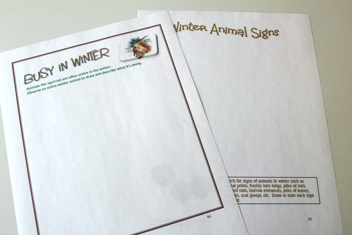 Nature Explorers Winter Animals Notebooking Pages