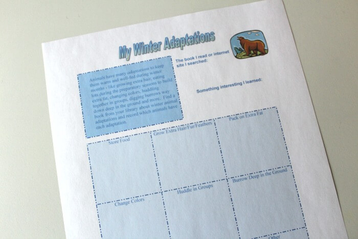 Winter Adaptations Research Activity