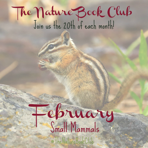 Feb Small Mammals