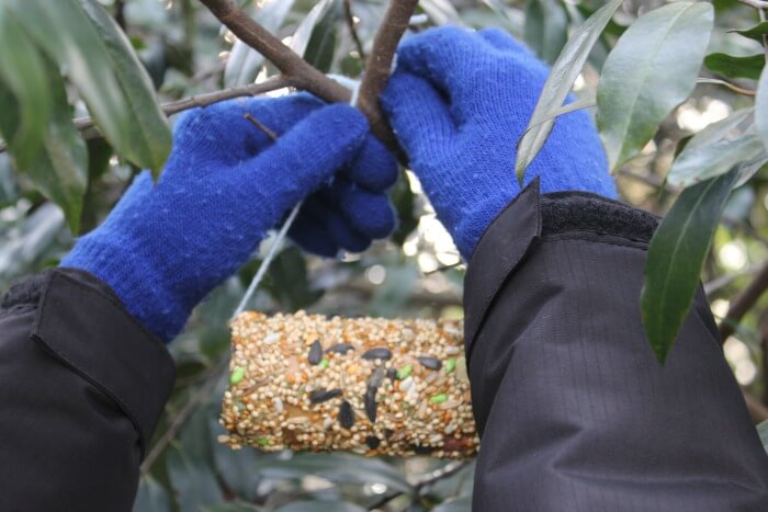 Hanging a Birdseed Feeder with Kids