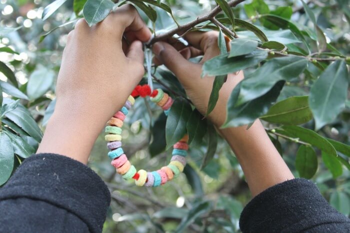 Hanging a Cereal Bird Feeder