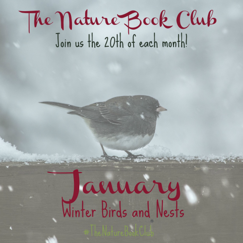 January Winter Birds and Nests TNBC