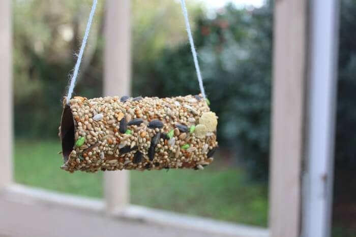 Simple DIY Birdseed Feeder