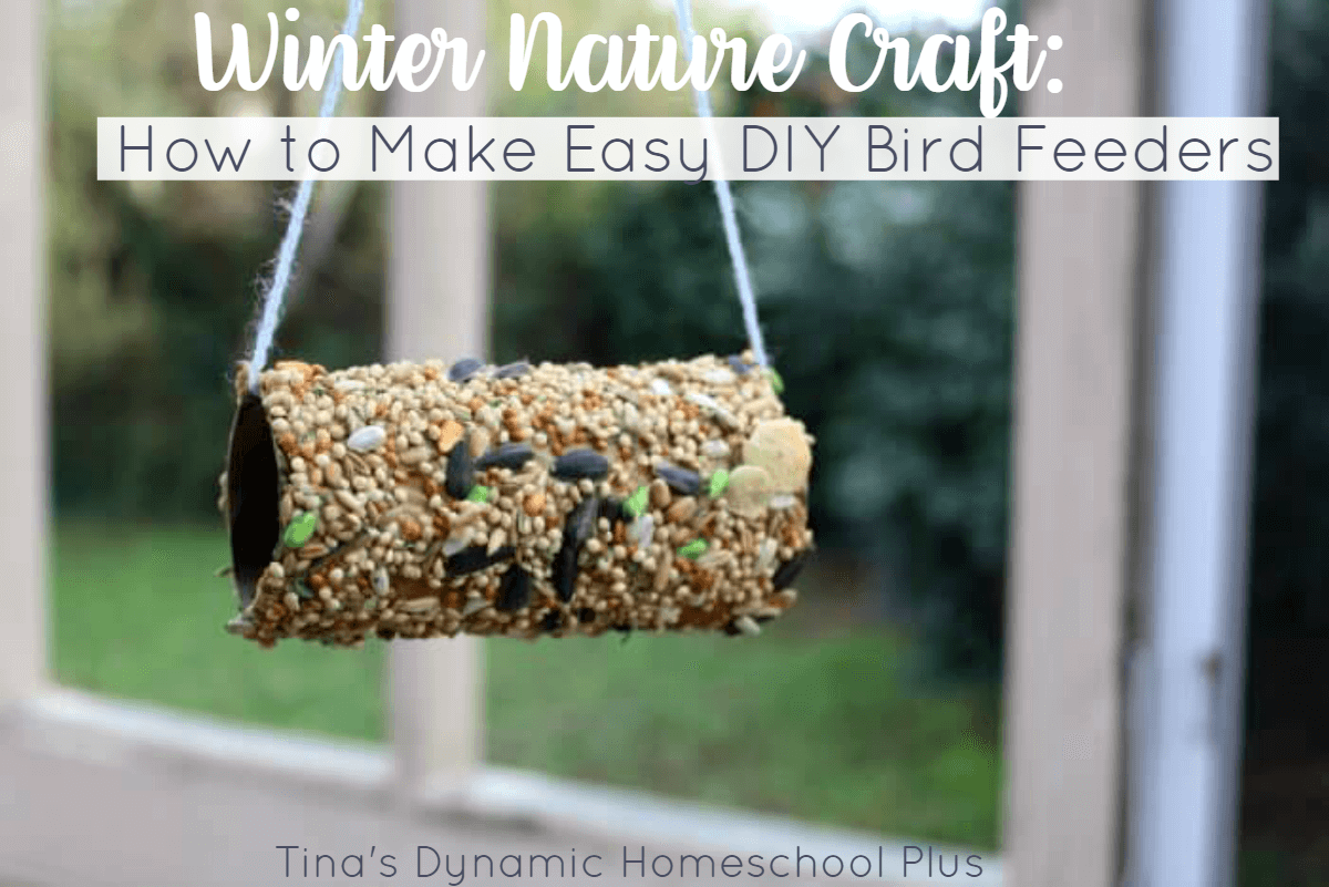 Making easy DIY Bird Feeders is a fun winter nature craft to do with the kids. Add this easy hands-on nature craft to your homeschool unit study. Click here to see how to make it!