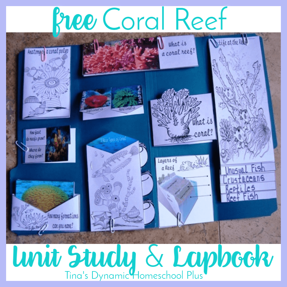 Whether you’re studying the Coral Reef as a separate unit study or part of the Ocean, you’ll love this free lapbook and unit study resources. CLICK here to grab the free Coral Reef Unit Study and Lapbook!