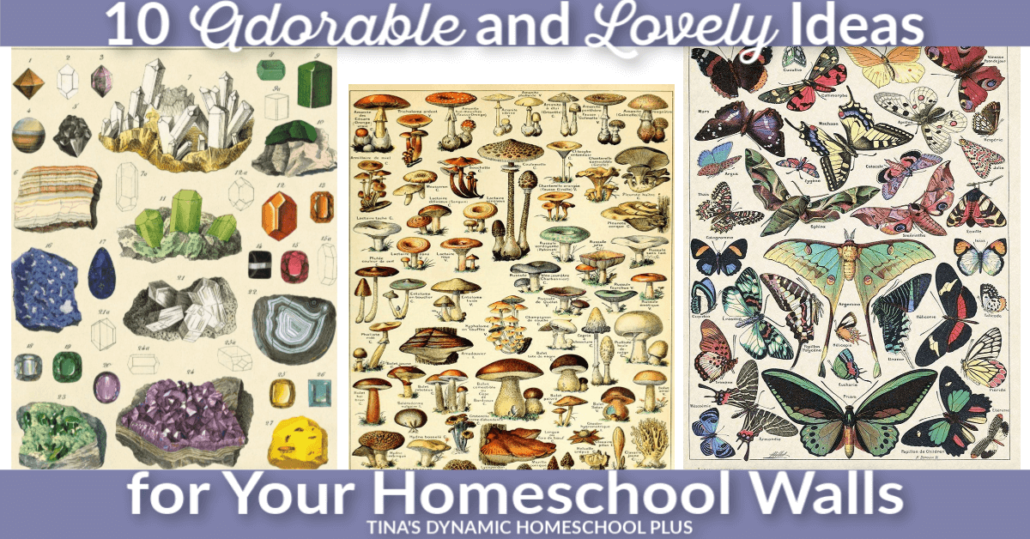 10 Adorable and Lovely Ideas for Your Homeschool Walls