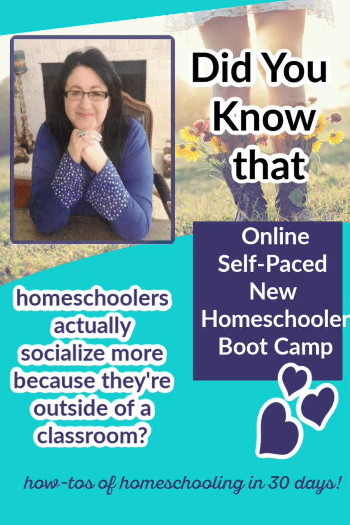 100 Reasons Why Homeschooling is a SUPERIOR Education