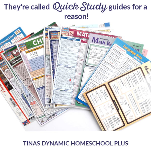 How to Easily Add Language Arts to Homeschool Unit Studies (& Resources)