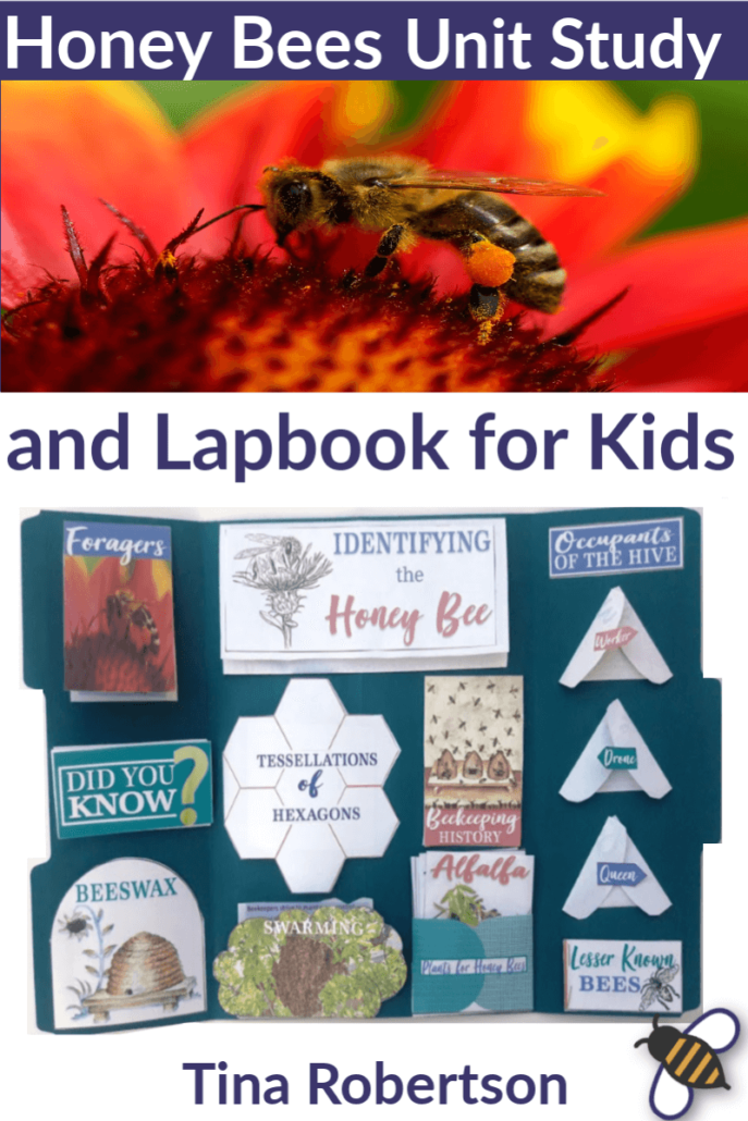 Whether you want to learn about how honey bees are fascinating master pollinators, learn about the interesting social activities in the hive, learn about beeswax, or know what is honey, these honey bee activities and resources will be helpful. You’ll love these fun honey bees lapbook! CLICK HERE to grab it!
#lapbook #honeybees #unitstudy #homeschoolscience #handsonlearning
