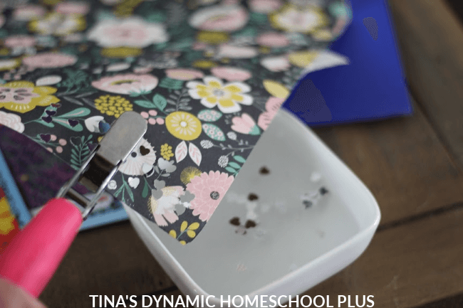 Fun Kids Activity How to Make Wildflower Seed Bombs at Tina's Dynamic Homeschool Plus 2