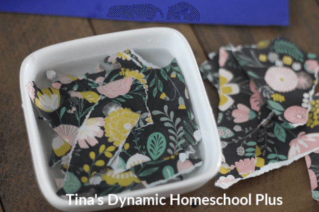 Fun Kids Activity How to Make Wildflower Seed Bombs at Tina's Dynamic Homeschool Plus 4