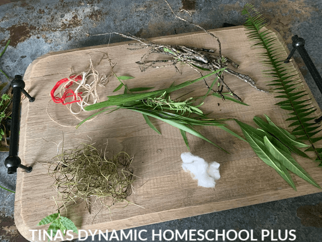 How to Make a Kid's Fun and Easy Bird Nest Activity