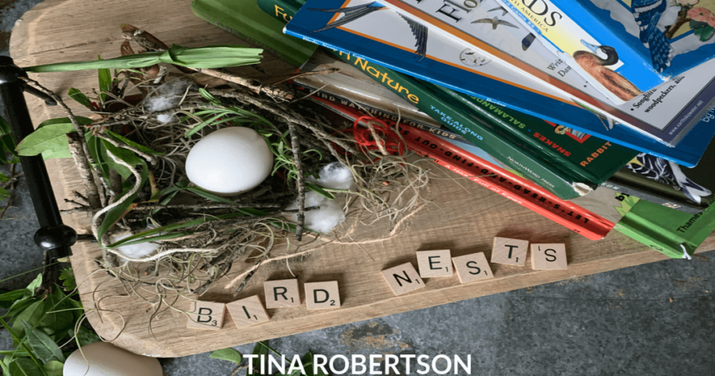 How to Make a Kid's Fun and Easy Bird Nest Activity