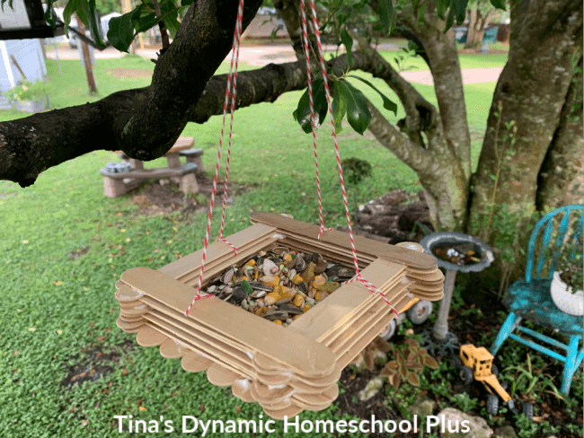 How to Make an Easy Jumbo Stick Bird Feeder with Kids