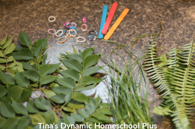 Creating your own diy nature brushes from items on your next nature walk is a fun way to bring science outdoors. Turn all sorts of leaves and flowers into beautiful rustic paintings. Look how to make easy nature paint brushes with kids. CLICK HERE!  
#diynaturebrushes #homeschoolnature #natureforkids #nature #scienceforkids #handsonnature #handsonart