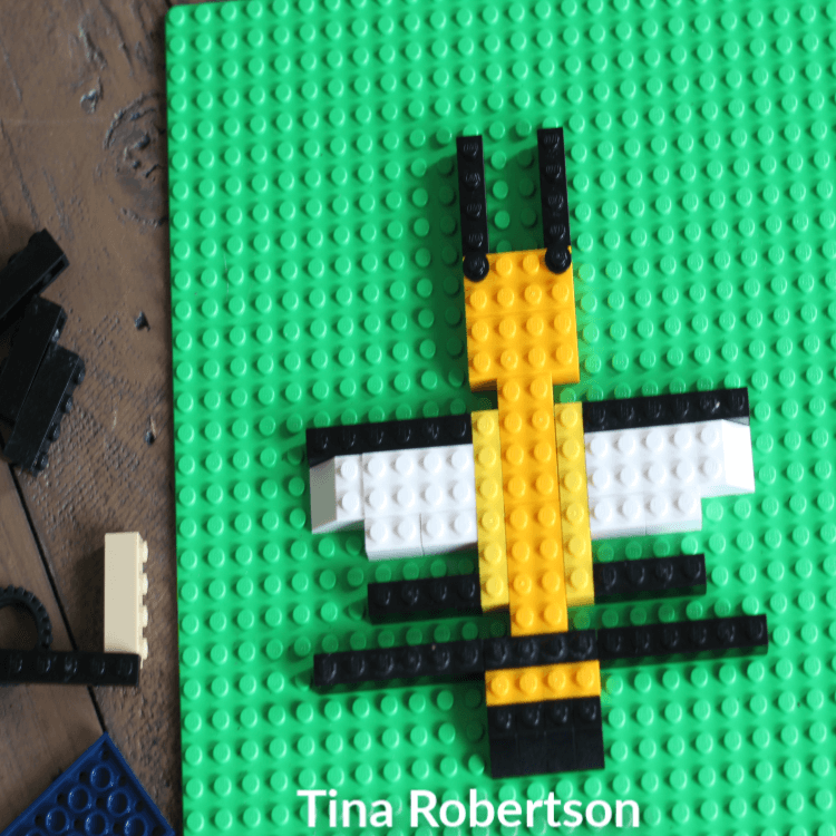 Labeling Parts of a Honey Bee LEGO Fun Activity For Kids