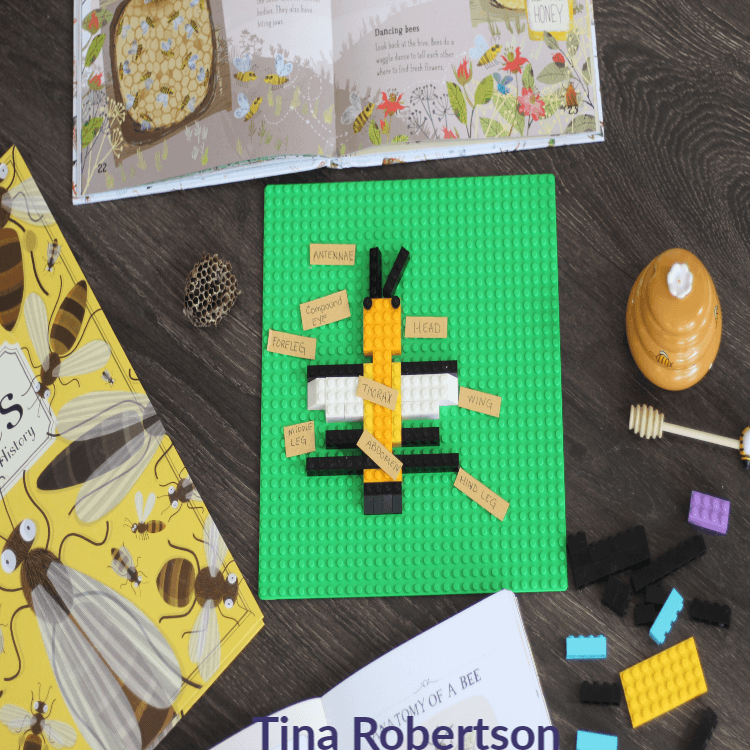 Labeling Parts of a Honey Bee LEGO Fun Activity For Kids