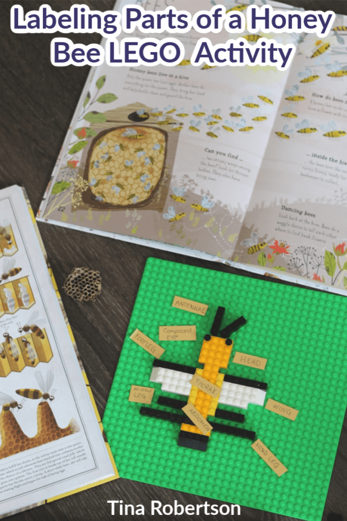 Labeling Parts of a Honey Bee LEGO Fun Activity For Kids