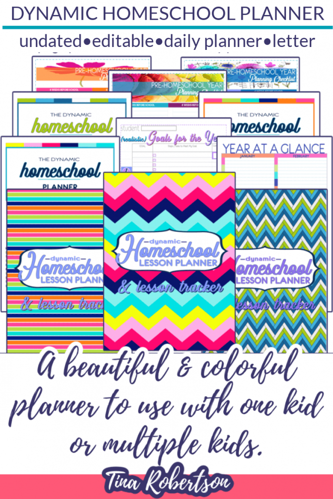 The Best Colorful Undated Dynamic Daily Homeschool Planner