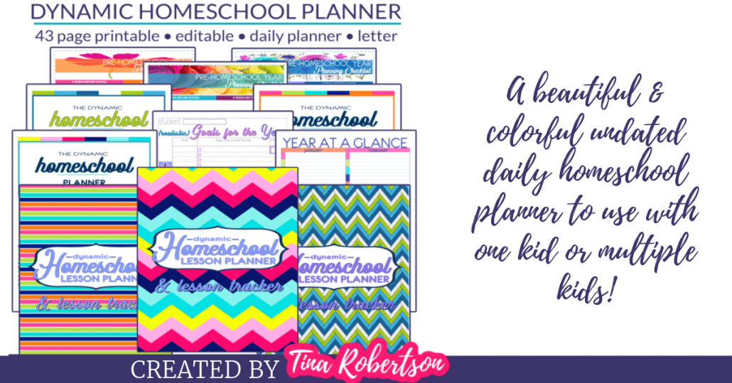 The Best Colorful Undated Dynamic Daily Homeschool Planner