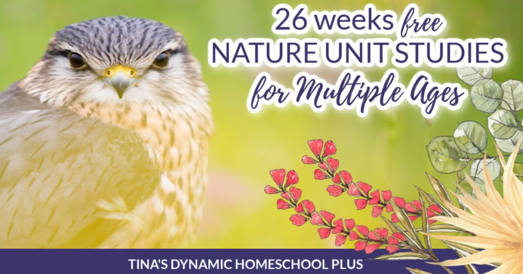 26 free nature unit studies for multiple ages. Easy nature unit studies as a way to make science come alive. Nature unit studies not only revive burn out in students, but they’re cost effective and memorable. CLICK HERE to grab 26 free homeschool nature unit studies for multiple ages that can easily be used for a year as free curriculum!