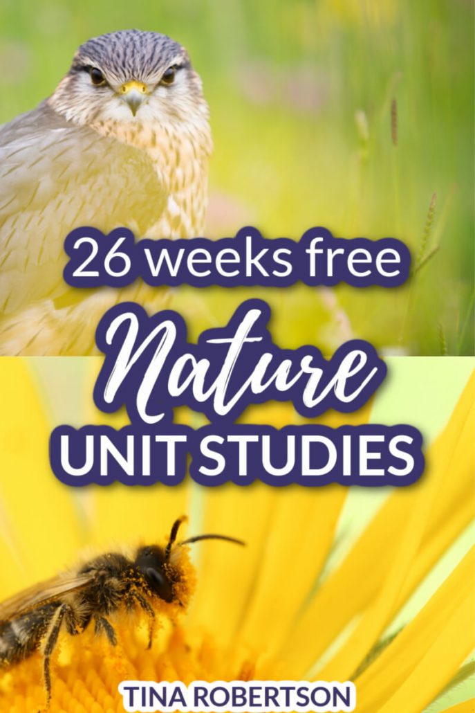 26 free nature unit studies for multiple ages. Easy nature unit studies as a way to make science come alive. Nature unit studies not only revive burn out in students, but they’re cost effective and memorable. CLICK HERE to grab 26 free homeschool nature unit studies for multiple ages that can easily be used for a year as free curriculum!
