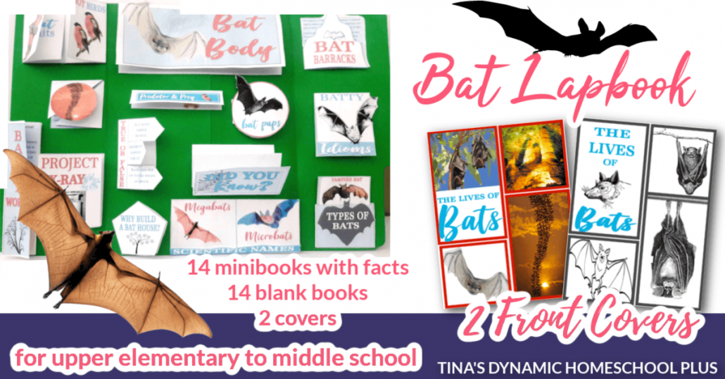 Why Bats Are Not Birds Fun Homeschool Unit Study and Lapbook