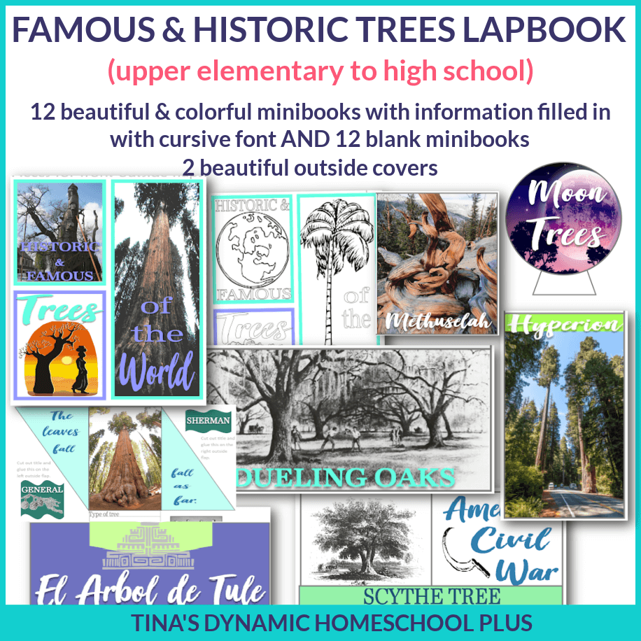 Dynamic Famous and Historic Trees Lapbook for Multiple Ages