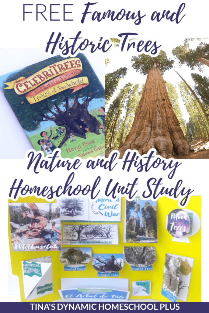 Famous and Historic Trees Fun Nature and History Homeschool Unit Study