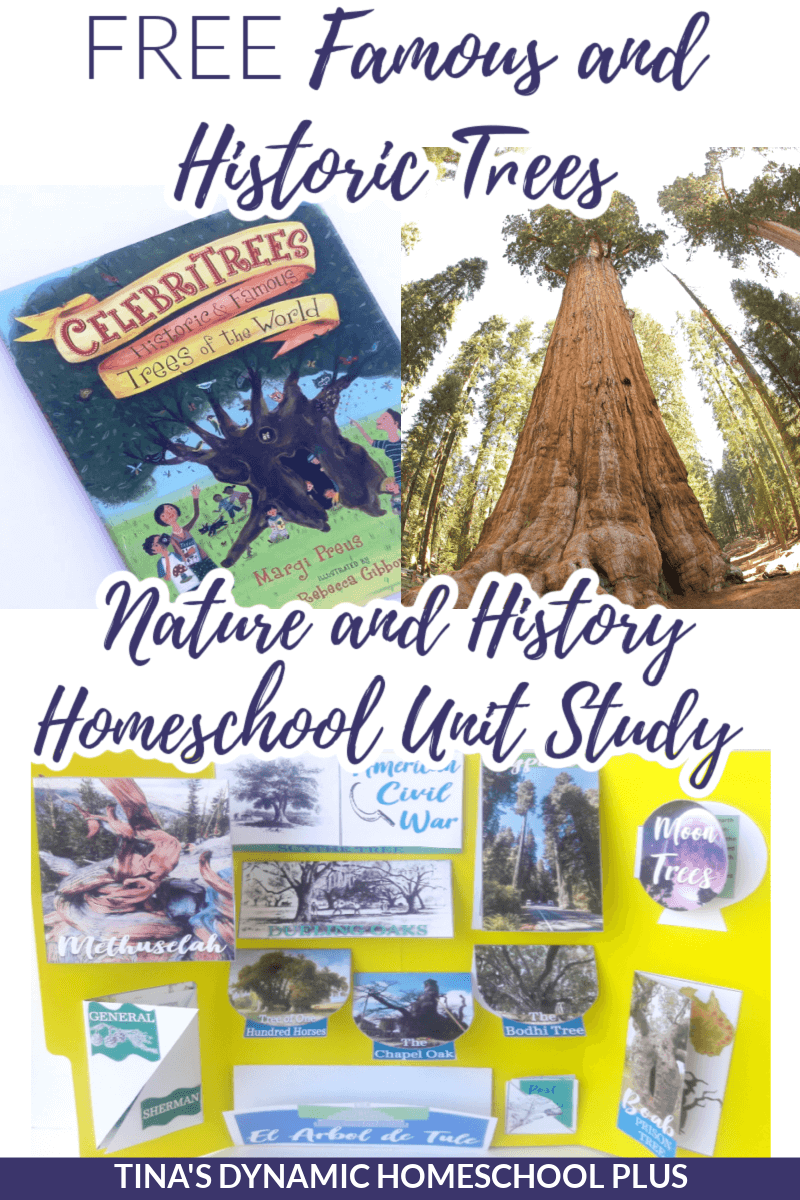 Dynamic Famous and Historic Trees Lapbook for Multiple Ages