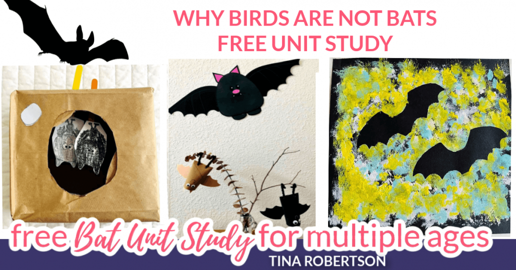 Why Bats Are Not Birds Fun Homeschool Unit Study and Lapbook