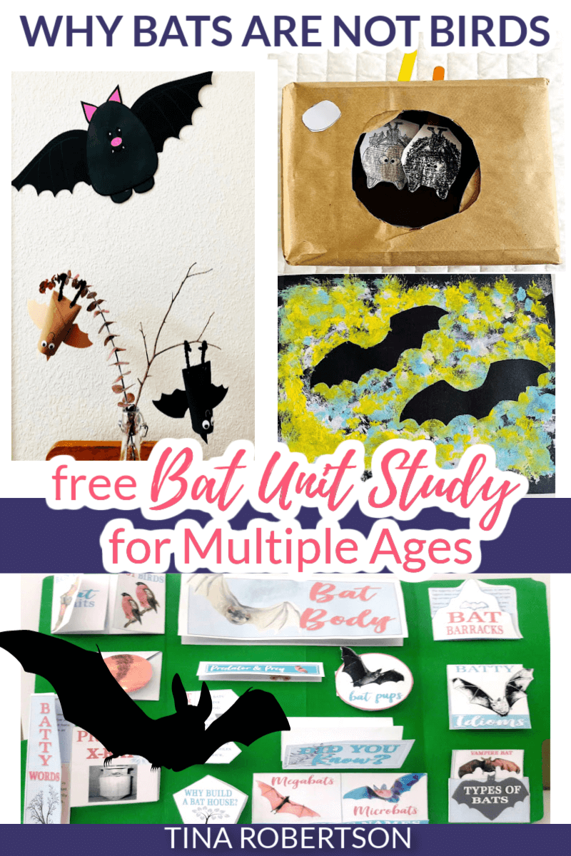 Why Bats Are Not Birds Fun Homeschool Unit Study and Lapbook