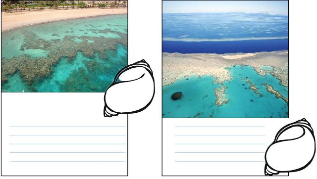 Coral Reef Unit Study and Lapbook